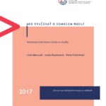 Ako vyučovať o domácom násilí. Metodický materiál pre učiteľov a učiteľky